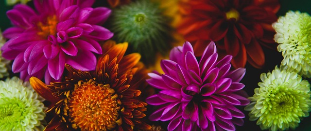 无一不在比 无一不在比