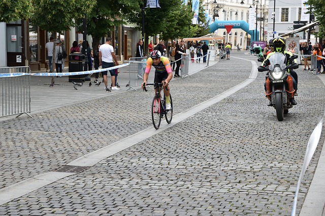 国际一流的 国际一流的