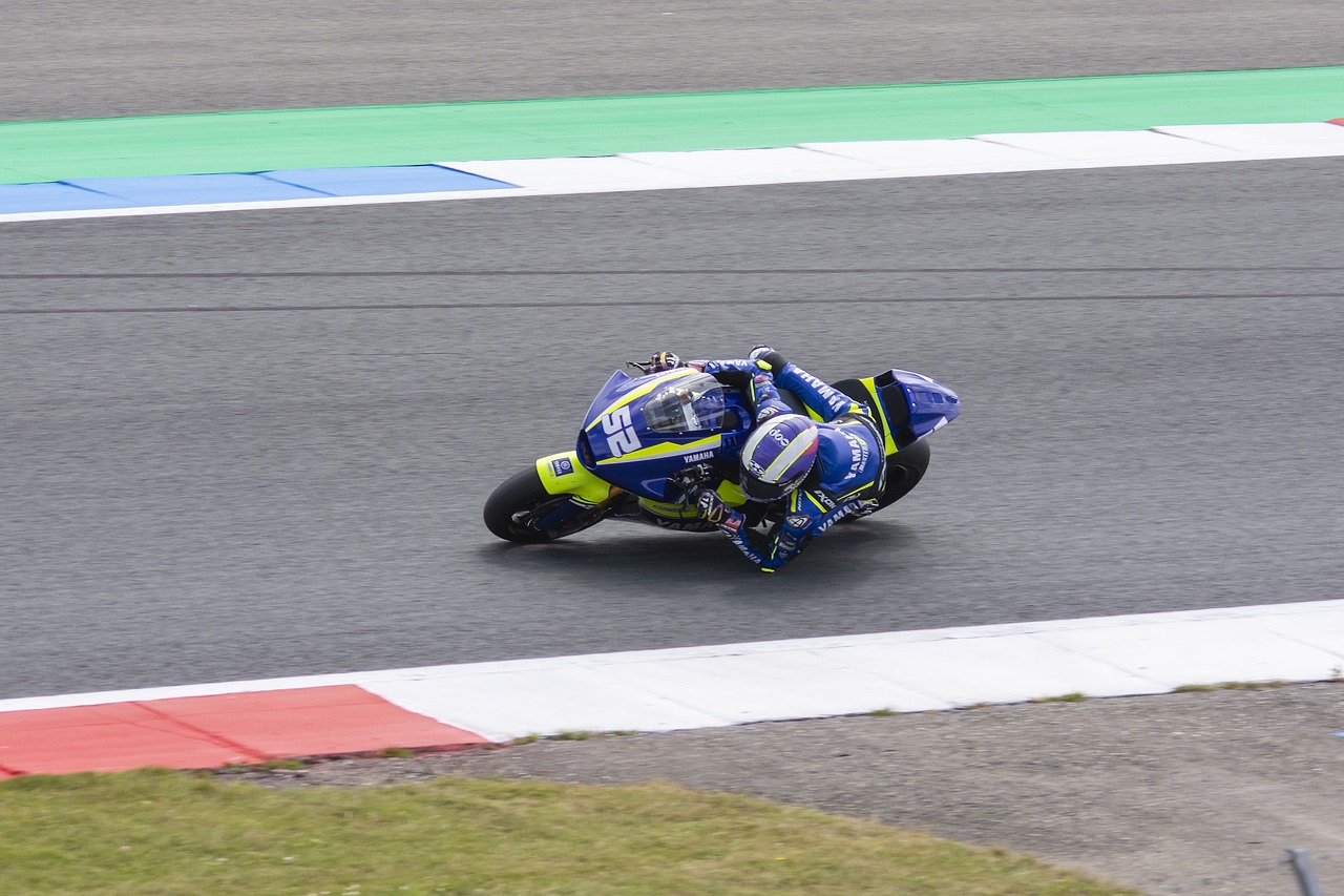 的入選無疑 的入選無疑