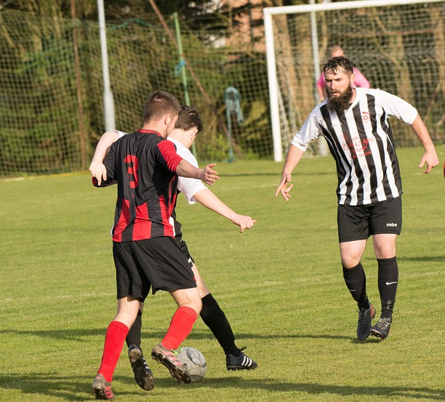 场强有力的 场强有力的