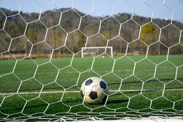 才是我们在 才是我们在