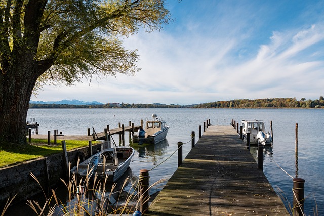 类似的战略 类似的战略