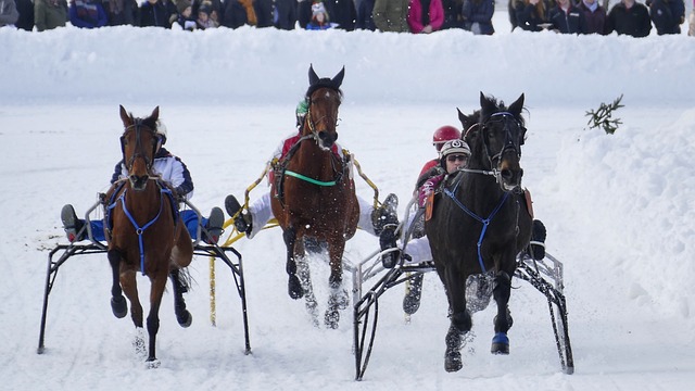 球队注入了 球队注入了