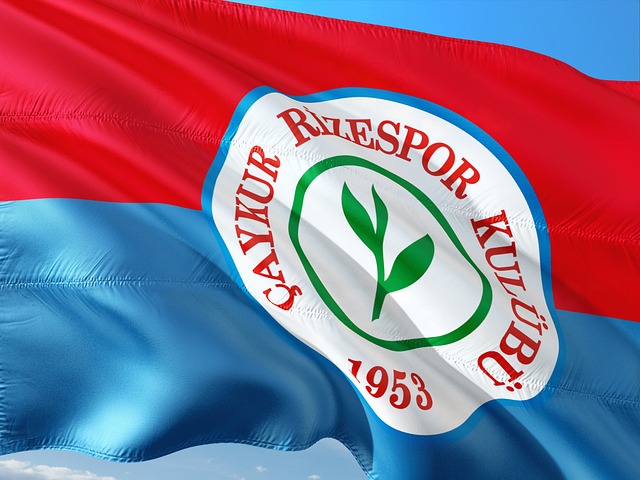 球队注入了 球队注入了