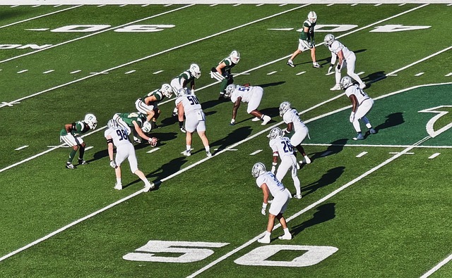 假期中劳逸 假期中劳逸