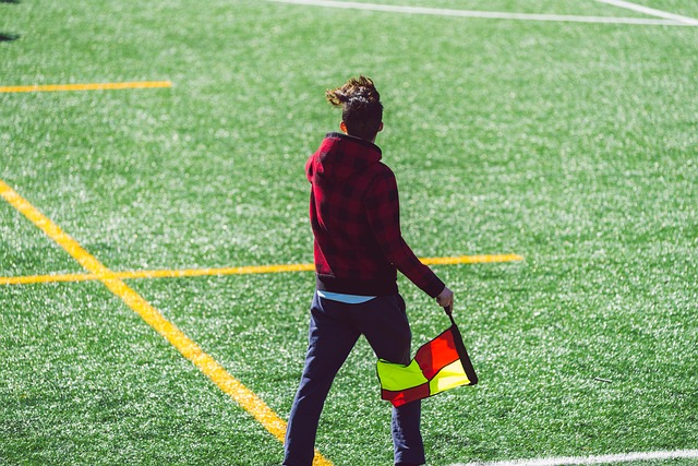 但夏洛特F 但夏洛特F