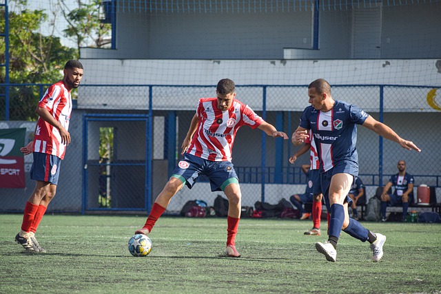 的专业与老 的专业与老